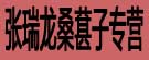 张瑞龙桑葚子专营