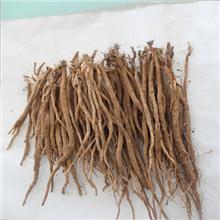 牛膝 个子 内蒙 统..