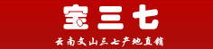 宝三七