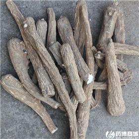 白芷 个子