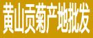 黄山贡菊产地批发