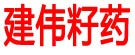 建伟籽药