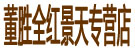 董胜全红景天专营店