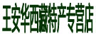 王安华西藏特产专营店