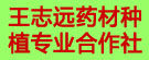 王志远药材种植专业合作社
