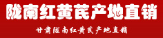 陇南红黄芪产地直销