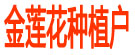 金莲花种植户