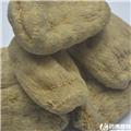 天麻 野生 