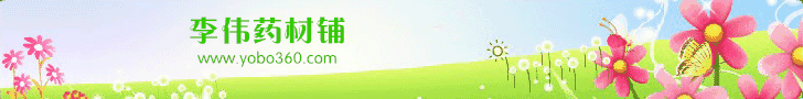 李伟药材铺