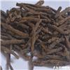 仙茅 各种规格 大货供应