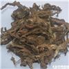 石菖蒲 湖北 各种规格