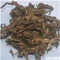 石菖蒲 湖北 各种规格