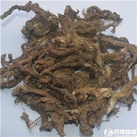 石菖蒲 湖北 各种规格