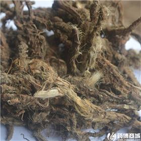 石菖蒲 江西