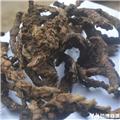 石菖蒲 江西 选货