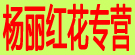 杨丽红花专营