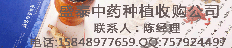 药材种植