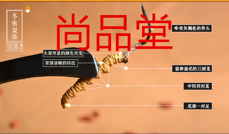 尚品堂