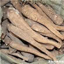 白芷 个子 质优价廉