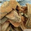 狗脊 优质价廉
