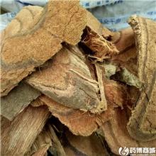 狗脊 优质价廉