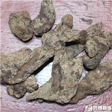 生地 大货供应