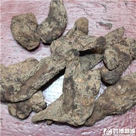 生地 大货供应
