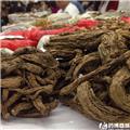 独活 个