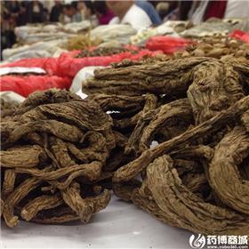 独活 个