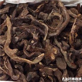 毛姜