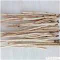 北沙参