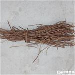 甘草 野生 毛草