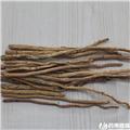 防风 段