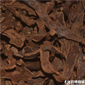骨碎补 优质大货