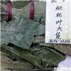 枇杷叶 云南 统货