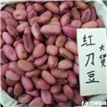 红刀豆  优质大货