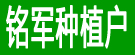 铭军种植户