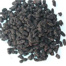 桑葚子 优质大货