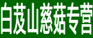 白芨山慈菇专营