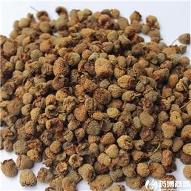覆盆子 大粒