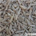 麦冬 优质大货