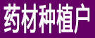 药材种植户