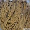 秦艽 各种规格 大货供应