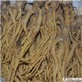 秦艽 各种规格 大货供应