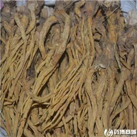 秦艽 各种规格 大货供应