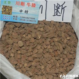 川断 优质大货