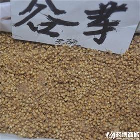 谷芽 优质大货