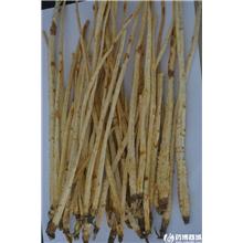沙参 统