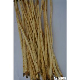 沙参 选