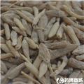 麦冬 优质大货